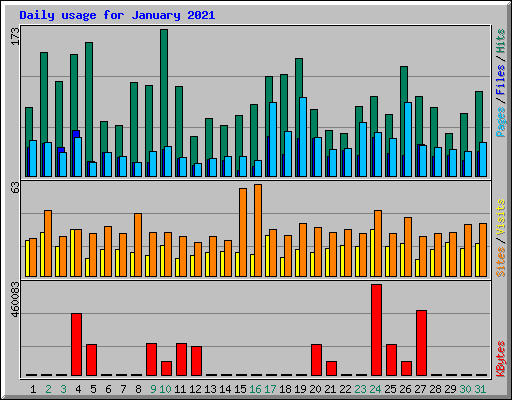 Daily usage for January 2021