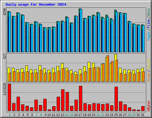 Daily usage for December 2024