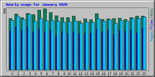 Hourly usage for January 2020