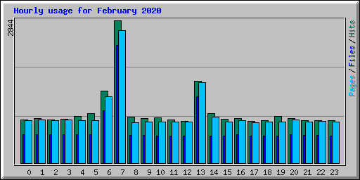 Hourly usage for February 2020