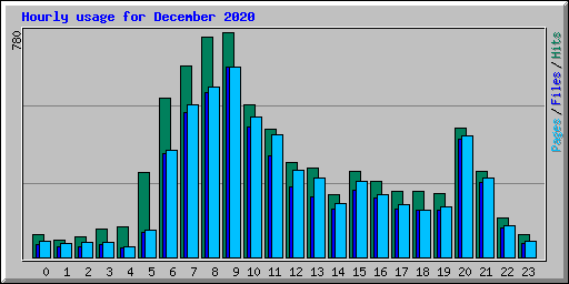 Hourly usage for December 2020