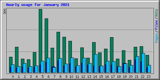 Hourly usage for January 2021