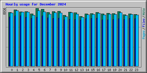 Hourly usage for December 2024