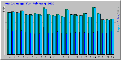 Hourly usage for February 2025