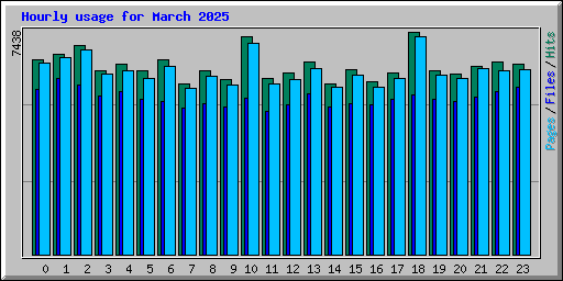 Hourly usage for March 2025