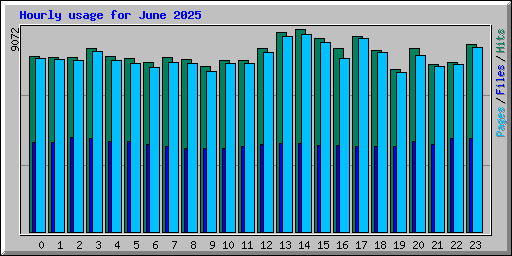 Hourly usage for June 2025