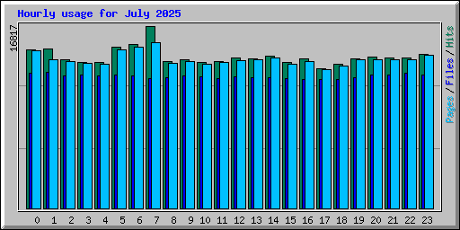 Hourly usage for July 2025