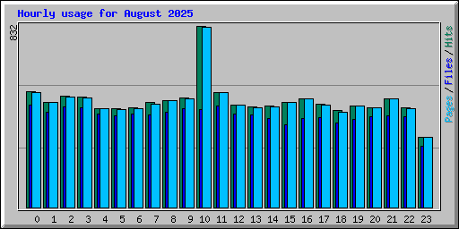 Hourly usage for August 2025