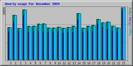 Hourly usage for December 2025