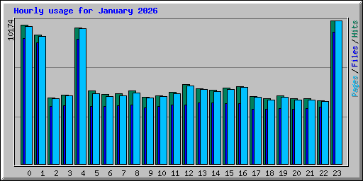 Hourly usage for January 2026